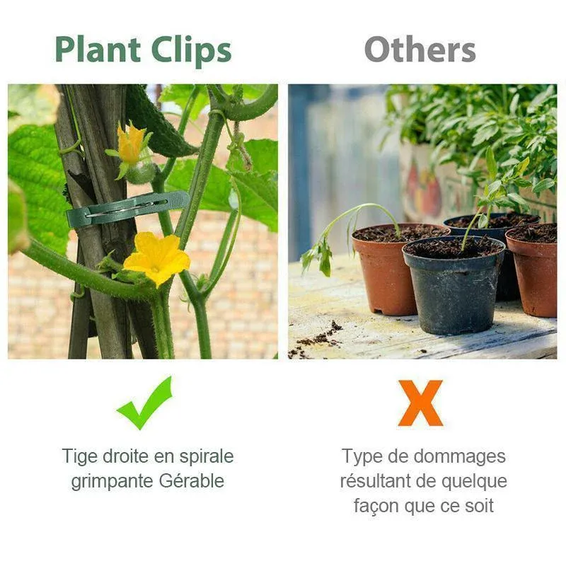 Clip de boucle de tige de fleur de jardin réutilisable - Image 2