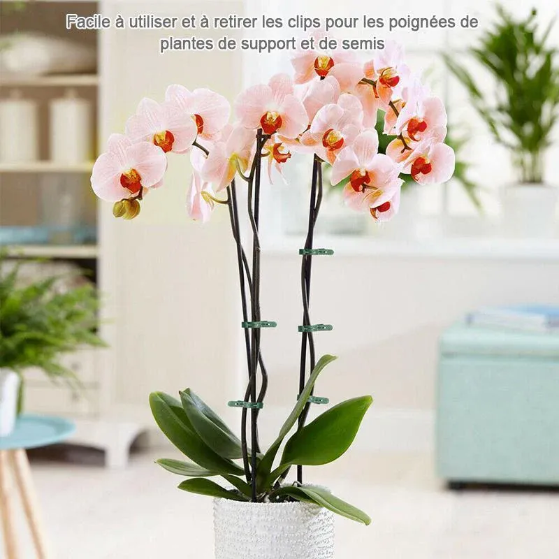 Clip de boucle de tige de fleur de jardin réutilisable - Image 5