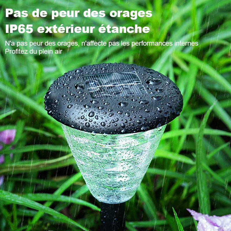 Lampes de jardin décoratives à énergie solaire - Image 5